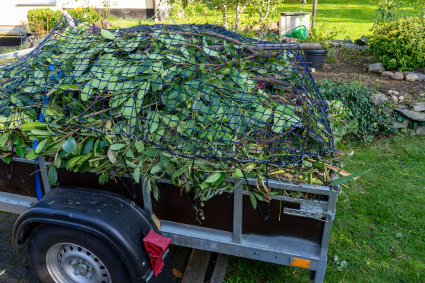 Best Shed Removal  in Laureldale, PA